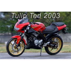 50 TUONO 2004 RS 50 Tuono