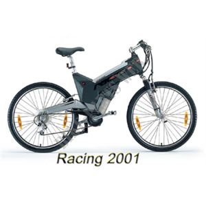 Electric ENJOY 2001 Bici elettrica 