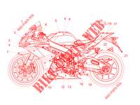 STICKERS for Aprilia RSV4 1100 Racing Factory Euro 4 ABS 2019