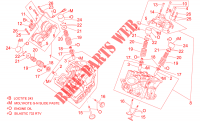 Cylinder head and valves for Aprilia SL Falco 2001