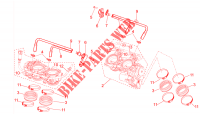 Throttle body for Aprilia Tuono V4 Factory 2015