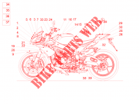 Plate set and decal FRAME 1100 aprilia-motorcycle TUONO 2016 39